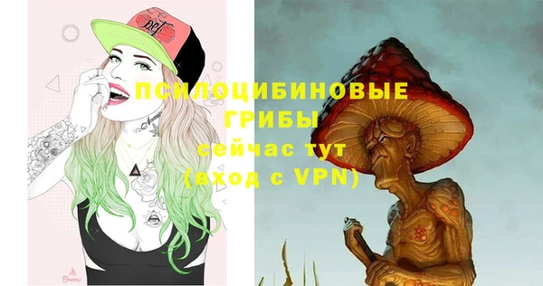 марки lsd Белокуриха
